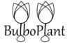 BulboPlant